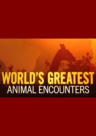 World's Greatest Animal Encounters