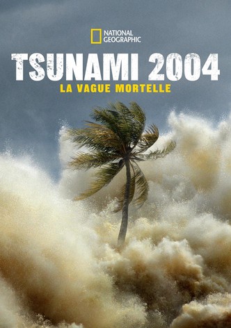 Tsunami 2004 : La Vague Mortelle