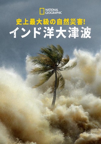 史上最大級の自然災害！インド洋大津波