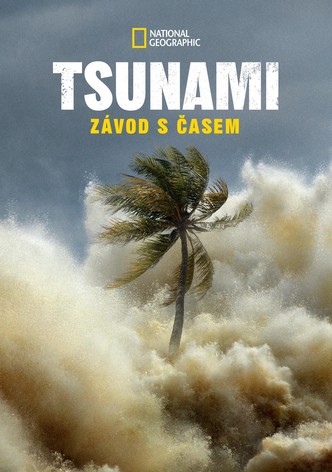 Tsunami: Závod s časem