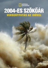 2004-es szökőár: Versenyfutás az idővel