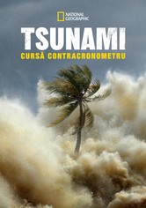 Tsunami: Cursă contracronometru
