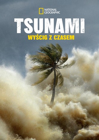 Tsunami: Wyścig z czasem