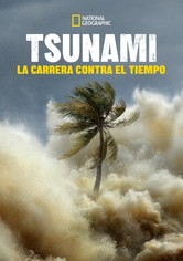 Tsunami: Carrera contra el tiempo - Miniserie