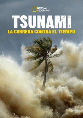 Tsunami: Carrera contra el tiempo