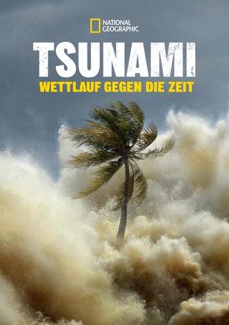 Tsunami: Wettlauf gegen die Zeit