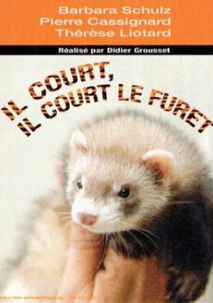 Il court, il court, le furet...