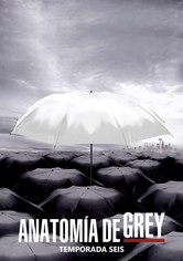 Anatomía de Grey