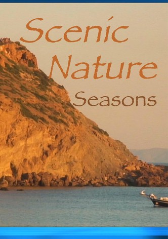 Scenic Nature: Seasons