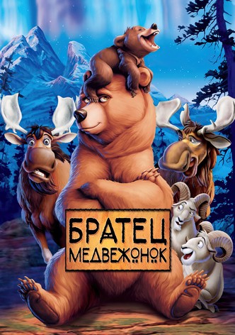 Братец медвежонок