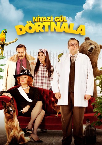 Niyazi Gül Dörtnala