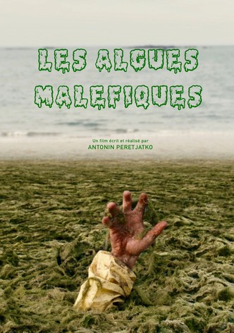 Les algues maléfiques