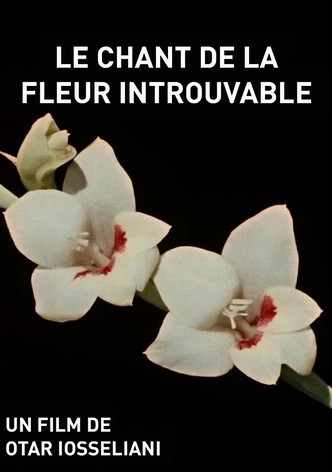 Le Chant de la fleur introuvable