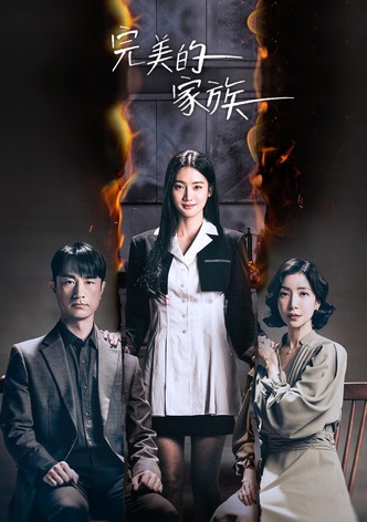 完美的家庭 - 季 1