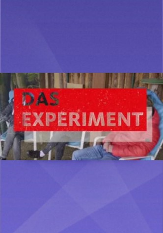 Das Experiment