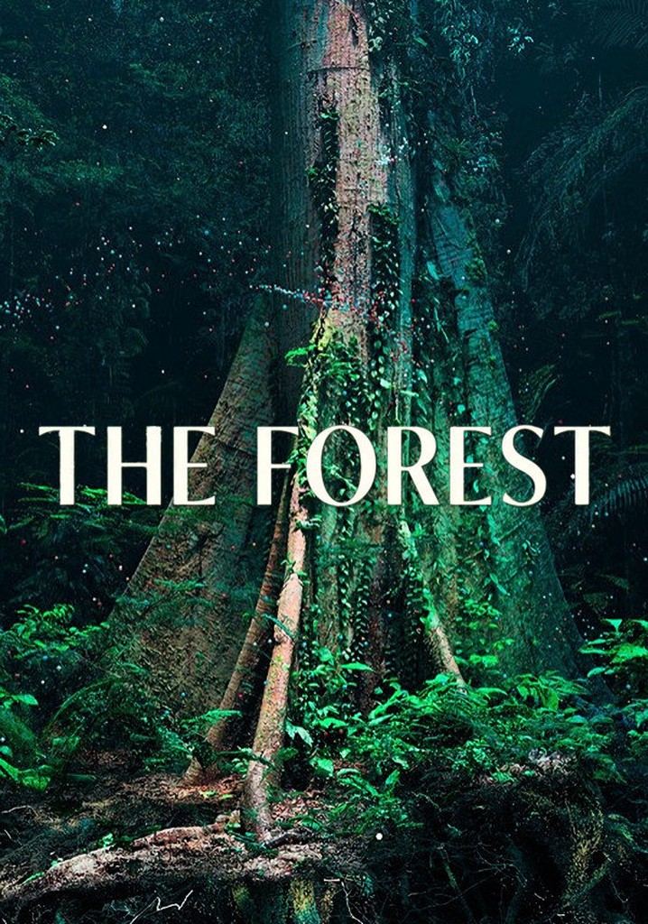 The Forest
