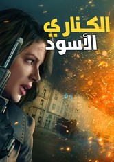 الكناري الأسود