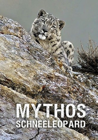 In Search of Snow Leopards - Chasing Shadows