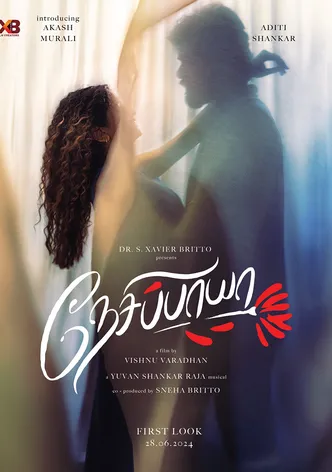 Nesippaya poster