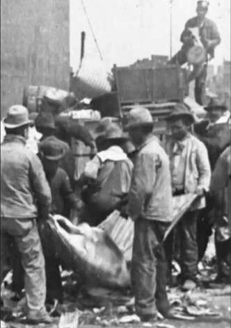 Sorting Refuse at Incinerating Plant, New York City