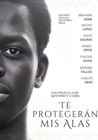 Te protegerán mis alas