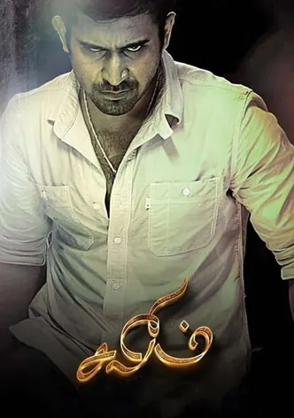 Salim poster