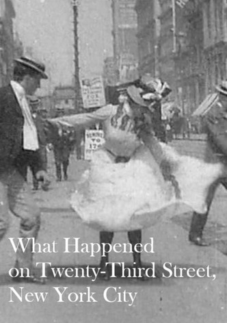 What Happened on Twenty-Third Street, New York City