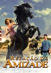 Relação de Amizade