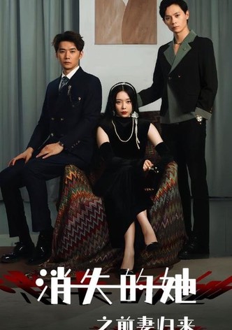 消失的她之前妻归来