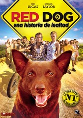 Red Dog, una historia de lealtad