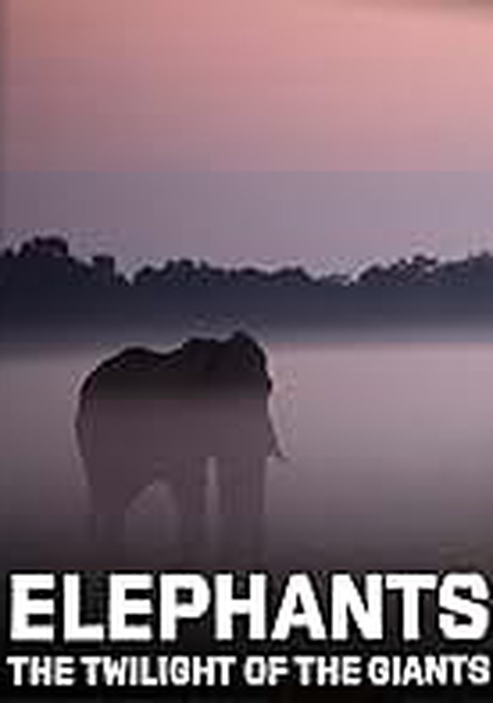 Elephants, the twilight of the giants