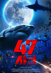 47샤크