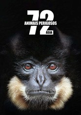72 Animais Perigosos: Ásia