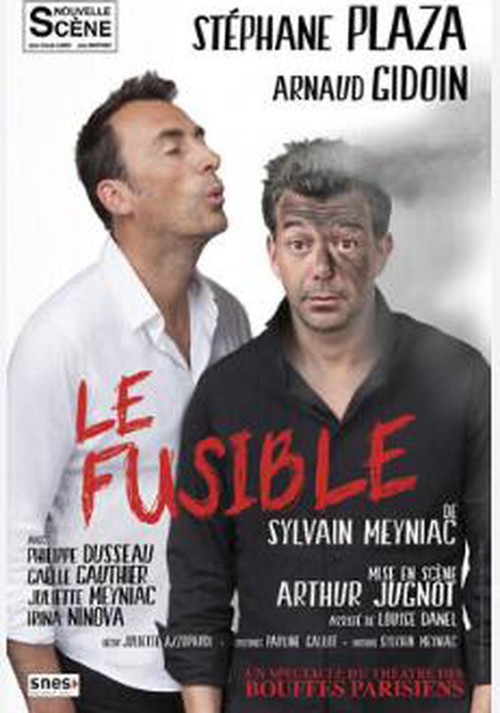 Le fusible