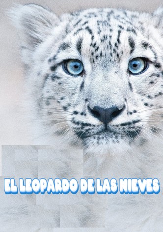 El leopardo de las nieves