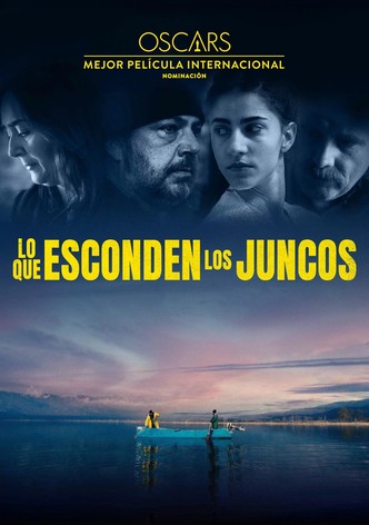 Lo que esconden los juncos