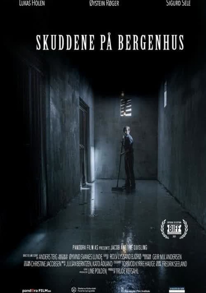 The Shots at Bergenhus