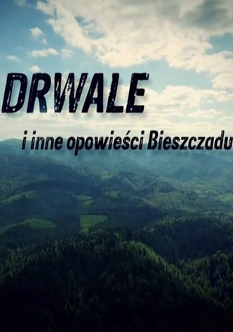 Drwale i inne opowieści Bieszczadu