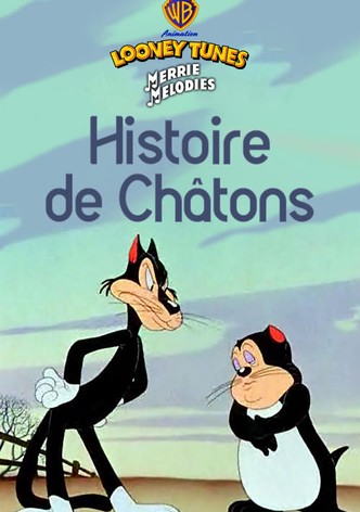 Histoire de chatons