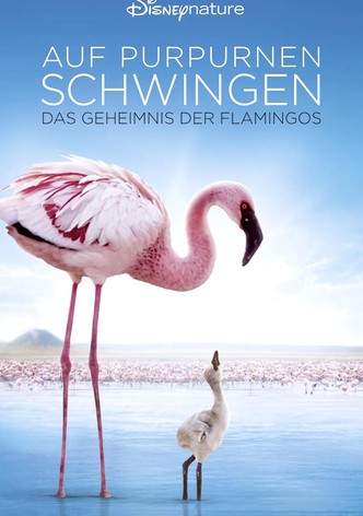 Auf purpurnen Schwingen: Das Geheimnis der Flamingos