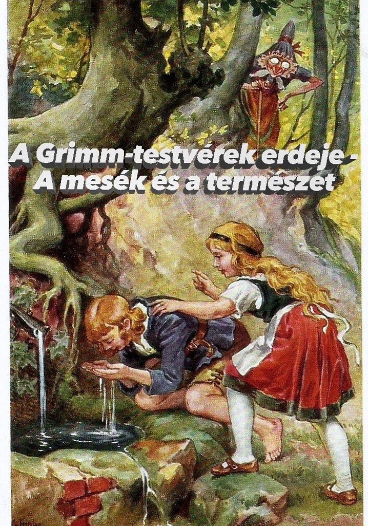 Im Märchenwald der Gebrüder Grimm