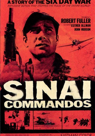 Sinai Commados