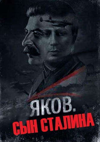 ომი ყველასთვის ომია