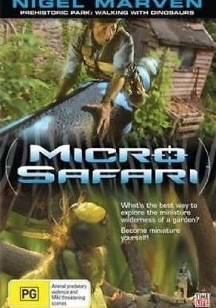 Help! I'm No Bigger Than a Bug