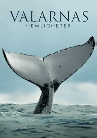 Valarnas hemligheter