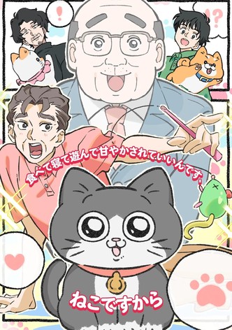 ねこに転生したおじさん