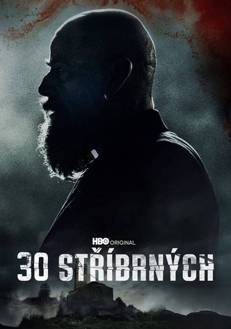 30 stříbrných