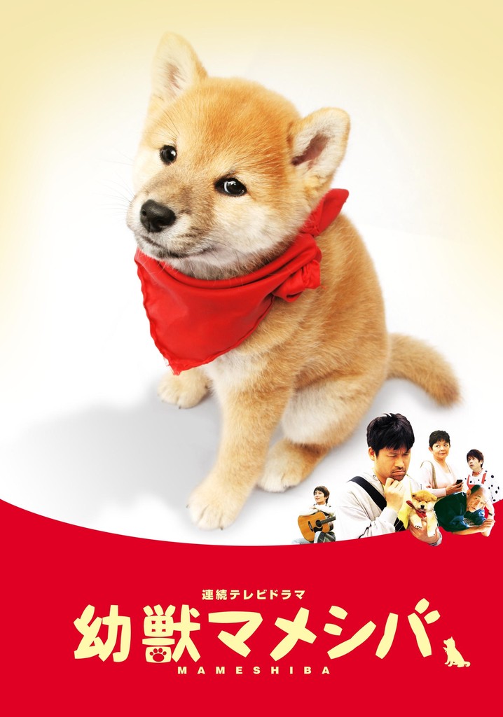 幼獣マメシバ TV ドラマ 動画配信 オンライン 視聴
