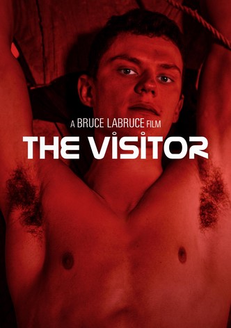 The Visitor