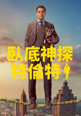 神探特伦特 - 季 4